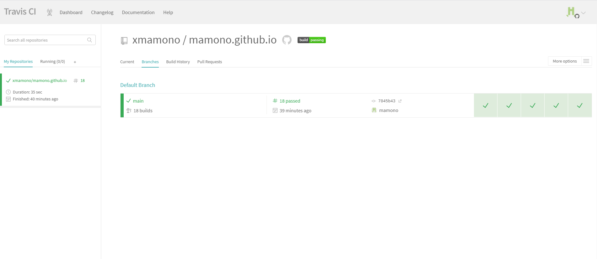 travis dashboard